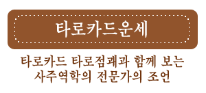 �̷������ �������